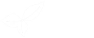 innochain Logo